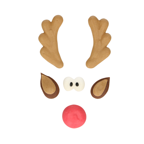 DECORAES DE ACAR FUNCAKES - RUDOLPH