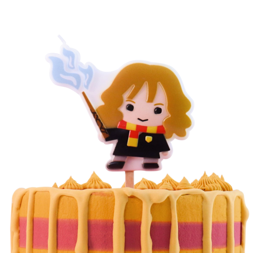 VELA DE ANIVERSRIO PME - HERMIONE GRANGER "HARRY POTTER