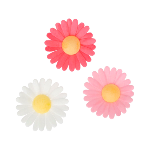 FLORES DE PAPEL DE OBLEA FUNCAKES - MARGARITAS