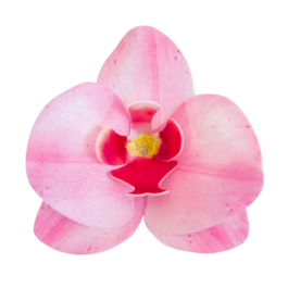 FLORES EM FOLHAS DE WAFER DEKORA - ORQUDEA COR-DE-ROSA