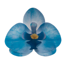 FLORES EM FOLHAS DE WAFER DEKORA - ORQUÍDEA AZUL