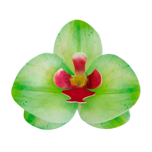 FLORES EM FOLHAS DE WAFER DEKORA - ORQUDEA VERDE